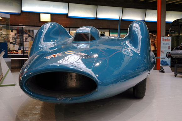 Bluebird