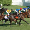 Horse Racing Chauffeur