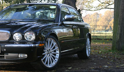 Jaguar