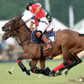 Polo Chauffeur