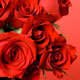 Valentine's Day Chauffeur
