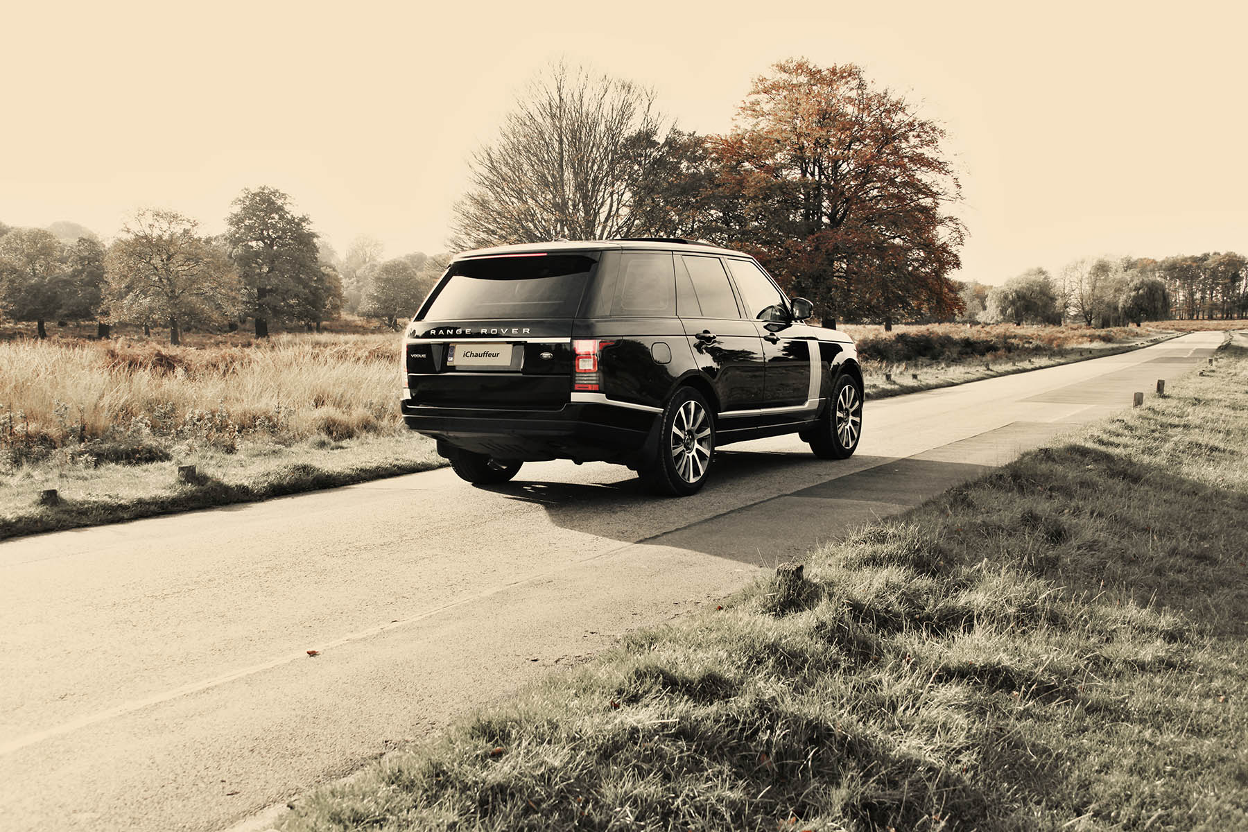 Range Rover rear view