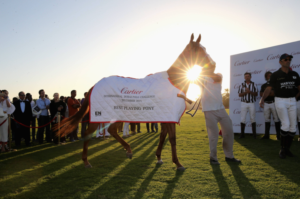 Cartier Polo Pony - Best Playing Pony