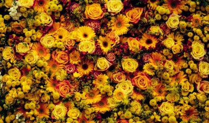 Chelsea Flower Show Exhibit