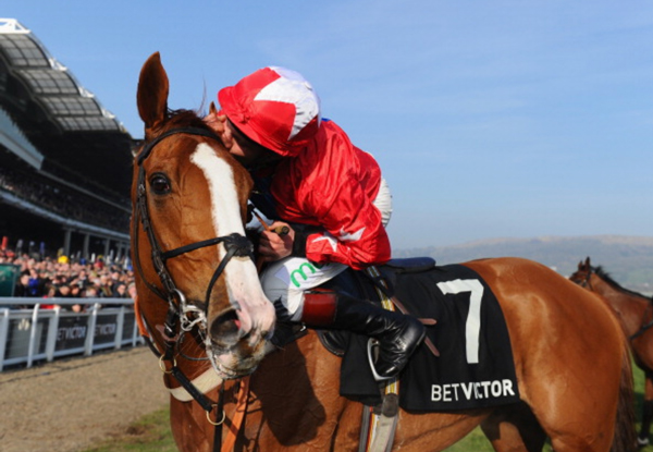 Jockey kissing horse at Cheltenham