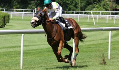 Horse racing at Cheltenham Festival