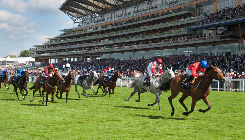 Royal Ascot horses racing