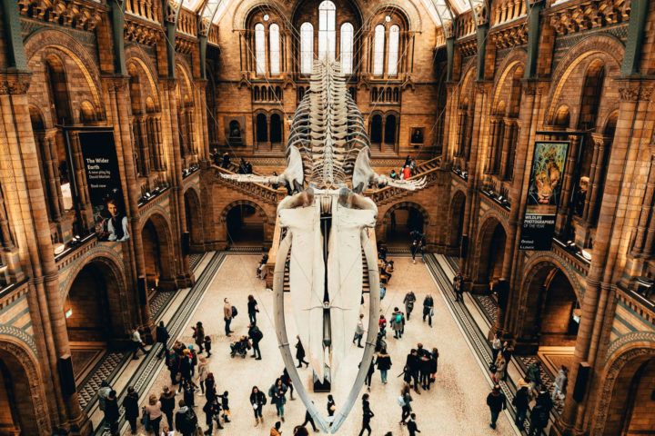 Natural History Museum, London