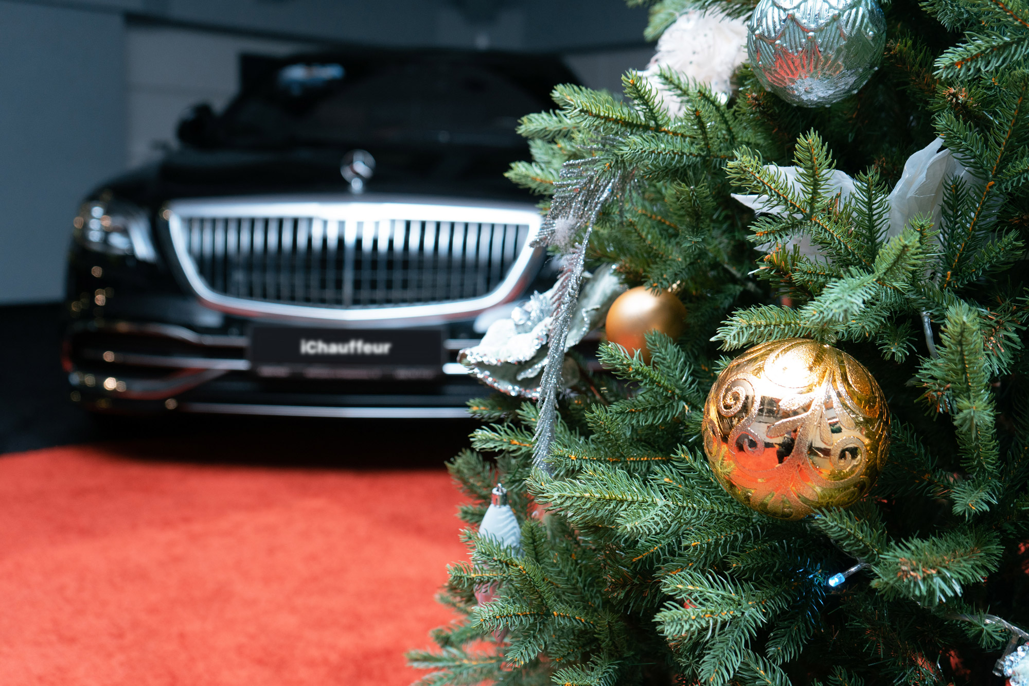Christmas tree in front of luxury Maybach Mercedes car