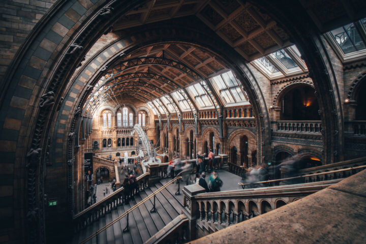 Natural History Museum hall
