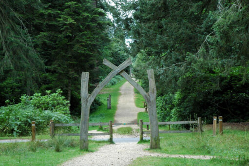 Rhinefield Ornamental Drive in Brockenhurst