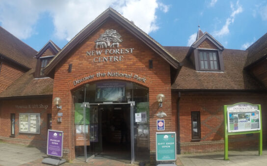 New Forest Centre in Lyndhurst