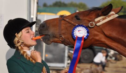 Horse with carrot