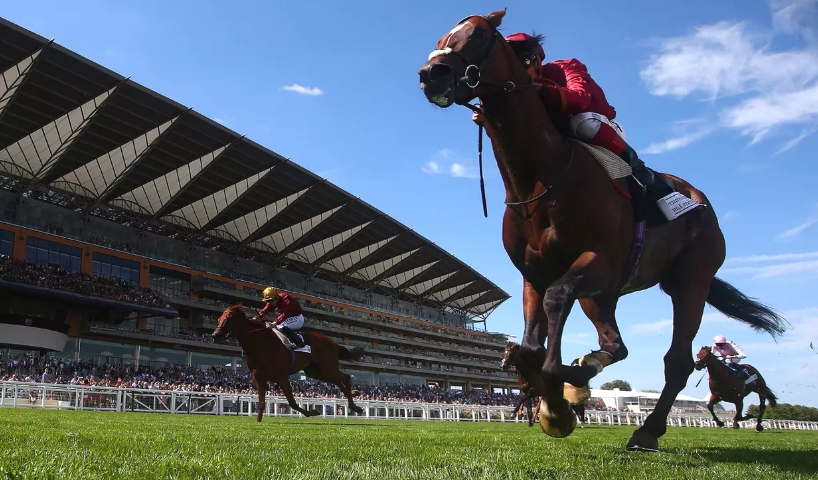 Horse racing